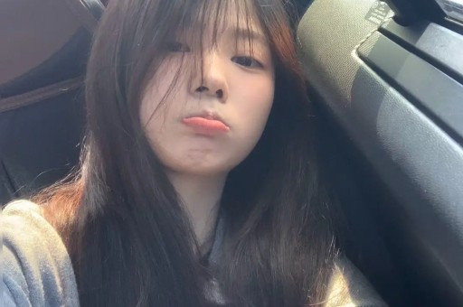 邀请争议女博主大翻车 启境汽车：非品牌代言人、已停止传播